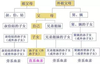 直系亲属是指谁？-探讨直系亲属的定义与范围,直系亲属是指谁？-探讨直系亲属的定义与范围,第3张