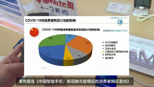 揭秘新车型发布会：市场竞争将如何演绎？,揭秘新车型发布会：市场竞争将如何演绎？,第1张