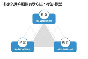 抖音号经营全面指南，让你的曝光量飙升！,抖音号经营全面指南，让你的曝光量飙升！,第3张