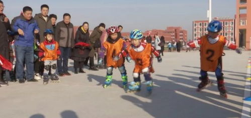 冬季运动场馆建设的关键要素及其影响因素,冬季运动场馆建设的关键要素及其影响因素,第3张