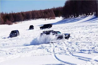 从樟树网到林海雪原-记我的一次户外经历,从樟树网到林海雪原-记我的一次户外经历,第1张