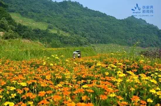 旅游胜地与生活文化传承--探寻山乡野情,旅游胜地与生活文化传承--探寻山乡野情,第3张