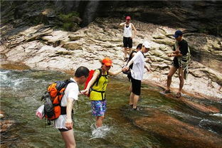 如何通过龙友林环境保护意识来推广生态旅游？,如何通过龙友林环境保护意识来推广生态旅游？,第3张