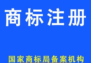 了解软著，搭建完整的知识产权保护系统-从律师浩伟的建议中获得灵感,了解软著，搭建完整的知识产权保护系统-从律师浩伟的建议中获得灵感,第2张