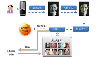 今天你拍照识图了吗？教你如何正确用图像识别技术,今天你拍照识图了吗？教你如何正确用图像识别技术,第3张