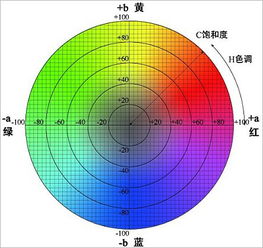 热传导式染色机-为你的产品添加色彩,热传导式染色机-为你的产品添加色彩,第2张