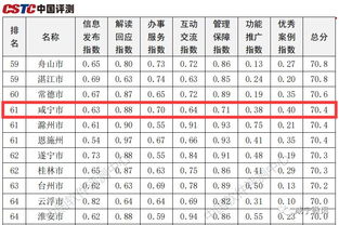 咸宁市政府启动全新网站建设，提升在线服务效能,咸宁市政府启动全新网站建设，提升在线服务效能,第1张