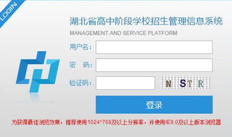 如何快速查询考研成绩？一个轻松高效的查询方式,如何快速查询考研成绩？一个轻松高效的查询方式,第3张