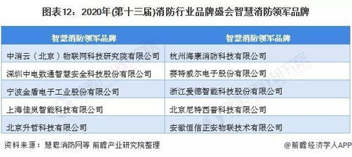 磐石网智慧消防布局-亿级融资助力,磐石网智慧消防布局-亿级融资助力,第3张