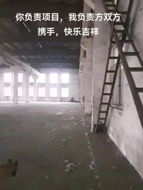 探秘无锡市场上热门的工业用地租赁,探秘无锡市场上热门的工业用地租赁,第2张