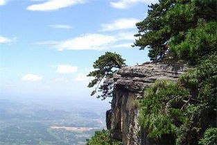 庐山之家网，探寻庐山最地道的生活方式,庐山之家网，探寻庐山最地道的生活方式,第1张