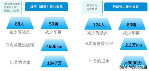 从青海湖到唐古拉山脉，西宁网站升级推动大西北地区数字化发展,从青海湖到唐古拉山脉，西宁网站升级推动大西北地区数字化发展,第2张