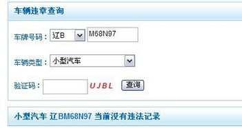 辽宁省车主必备：如何高效查询汽车违章记录？,辽宁省车主必备：如何高效查询汽车违章记录？,第3张