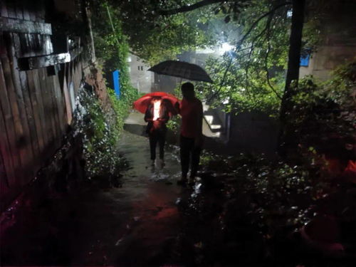 旧暴雨袭遵义，部分村庄被淹,旧暴雨袭遵义，部分村庄被淹,第1张