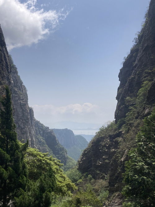 庐山之家网，探寻庐山最地道的生活方式,庐山之家网，探寻庐山最地道的生活方式,第3张