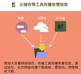 从不良信息到合法监管-黄色网址的演变与管理,从不良信息到合法监管-黄色网址的演变与管理,第2张