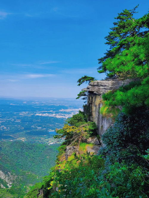 庐山之家网，探寻庐山最地道的生活方式,庐山之家网，探寻庐山最地道的生活方式,第2张