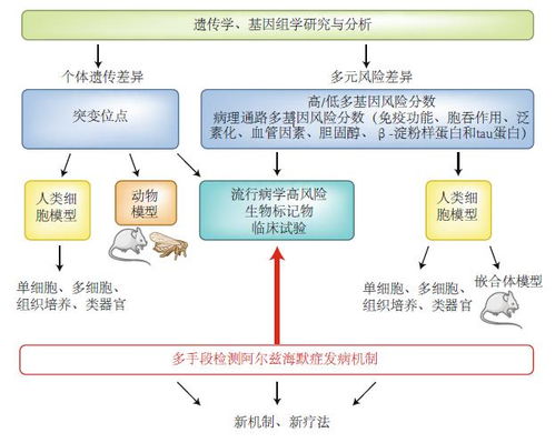 一个满怀热情的科学家—霍明赫米兰,一个满怀热情的科学家—霍明赫米兰,第2张