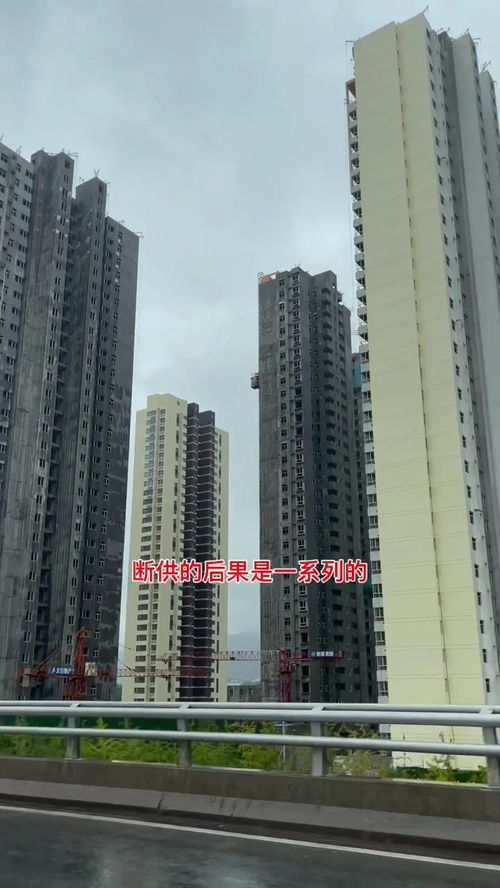 探寻“陶都房产网”背后的故事,探寻“陶都房产网”背后的故事,第3张