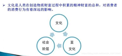 从市场营销学试题中了解消费者心理,从市场营销学试题中了解消费者心理,第1张