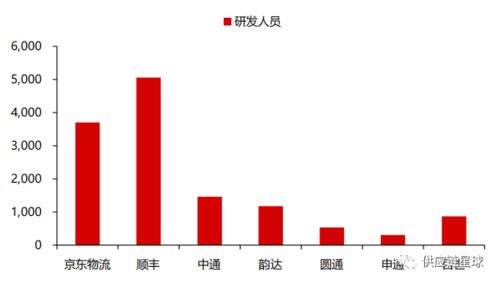 探索廉江博洋网发展历程与未来规划,探索廉江博洋网发展历程与未来规划,第1张