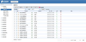 免费建网站的实用技巧和方法大揭秘,免费建网站的实用技巧和方法大揭秘,第2张