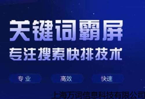 探秘SEO优化的实用技巧，从此告别假大空的花式瞎搞,探秘SEO优化的实用技巧，从此告别假大空的花式瞎搞,第1张