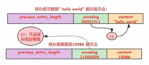 南大考研论坛，解读考研初试阶段四大考点,南大考研论坛，解读考研初试阶段四大考点,第3张