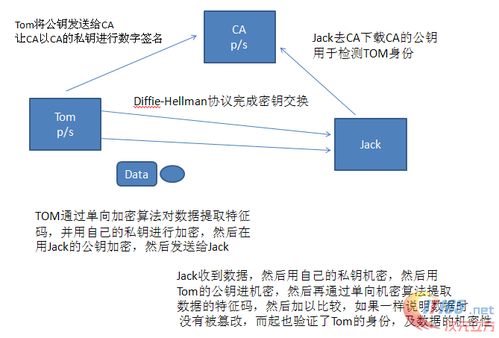 从石榴到智能加密：算法的演进,从石榴到智能加密：算法的演进,第1张