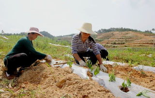 春节假期结束，农民工何时踏上返程之路？,春节假期结束，农民工何时踏上返程之路？,第2张