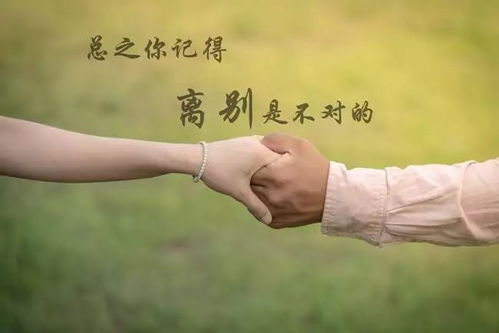 「改编后的标题」From Heart to Heart: A Heartwarming Program List,「改编后的标题」From Heart to Heart: A Heartwarming Program List,第3张