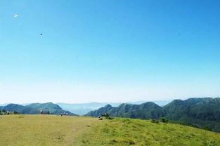 兴安林区生态旅游发展加速，游客数量飙升,兴安林区生态旅游发展加速，游客数量飙升,第1张