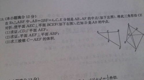 探索数学家们的新数列：一个长达2700页的谜题,探索数学家们的新数列：一个长达2700页的谜题,第3张