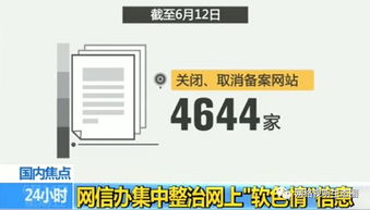 从不良信息到合法监管-黄色网址的演变与管理,从不良信息到合法监管-黄色网址的演变与管理,第3张