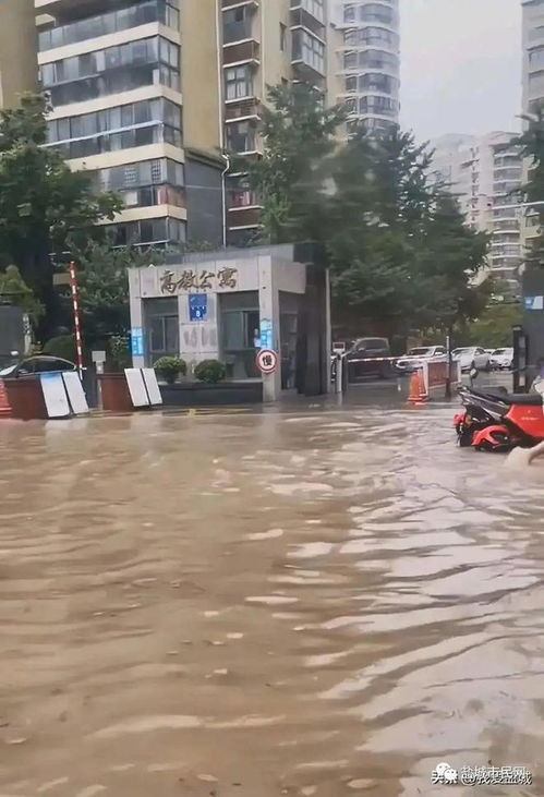 青岛市突发水灾，市区多处出现内涝,青岛市突发水灾，市区多处出现内涝,第2张