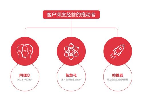 营销方案网站（打造专业的营销方案策划平台）,营销方案网站（打造专业的营销方案策划平台）,第1张