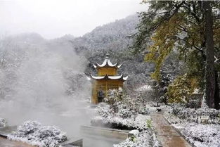 黄山风景区的美景，让你忘却了所有烦恼,黄山风景区的美景，让你忘却了所有烦恼,第2张