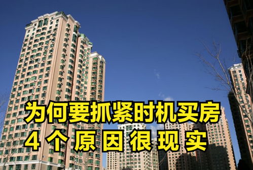 “泗阳房产网”：你值得拥有的专业购房顾问,“泗阳房产网”：你值得拥有的专业购房顾问,第1张