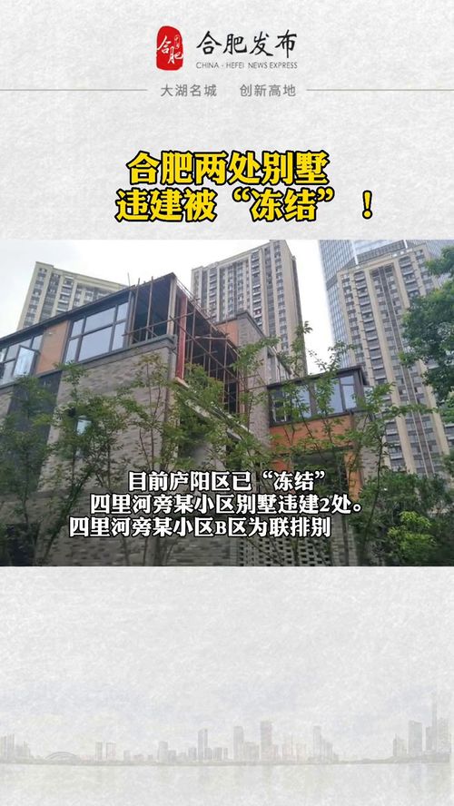 合肥新站区的城市化进程与治理探析,合肥新站区的城市化进程与治理探析,第3张