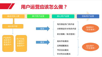 宁波网站运营攻略，BAT等一线互联网公司不再是梦,宁波网站运营攻略，BAT等一线互联网公司不再是梦,第2张