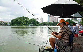 深圳海岸线上的钓鱼胜地,深圳海岸线上的钓鱼胜地,第3张