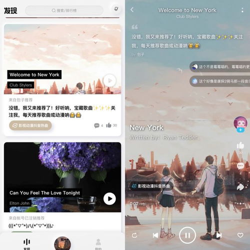 皇瑟YY：在线音乐社区里的群体互动与交流,皇瑟YY：在线音乐社区里的群体互动与交流,第2张