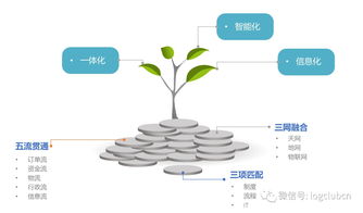 探索廉江博洋网发展历程与未来规划,探索廉江博洋网发展历程与未来规划,第2张