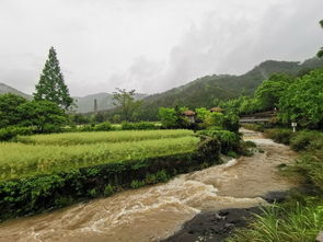 深圳对面的小城，这里有一个美妙的探索之旅等待着你！,深圳对面的小城，这里有一个美妙的探索之旅等待着你！,第3张