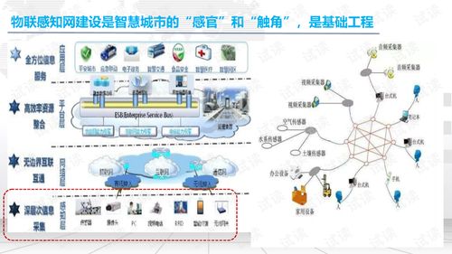 探析唐山市建设现代化互联网平台的必要性与前景展望,探析唐山市建设现代化互联网平台的必要性与前景展望,第3张