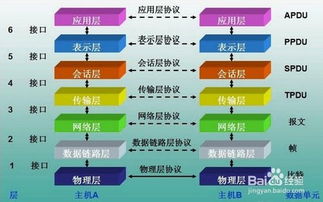 〖程序员的自我修养 - 认知剖析篇⑤〗- 选择前端还是后端？,〖程序员的自我修养 - 认知剖析篇⑤〗- 选择前端还是后端？,第2张