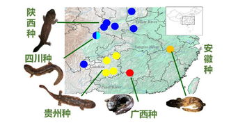 一个满怀热情的科学家—霍明赫米兰,一个满怀热情的科学家—霍明赫米兰,第1张