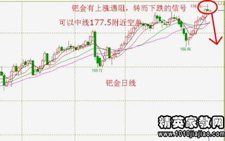 解密香港六合彩开奖规律，掌握选号技巧,解密香港六合彩开奖规律，掌握选号技巧,第2张