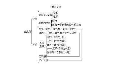 从数学角度探讨偶数的特性,从数学角度探讨偶数的特性,第3张