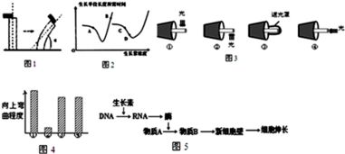 一个满怀热情的科学家—霍明赫米兰,一个满怀热情的科学家—霍明赫米兰,第3张